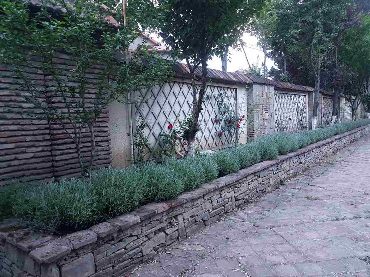 Rare House With Garden Villa Tbilisi Eksteriør billede