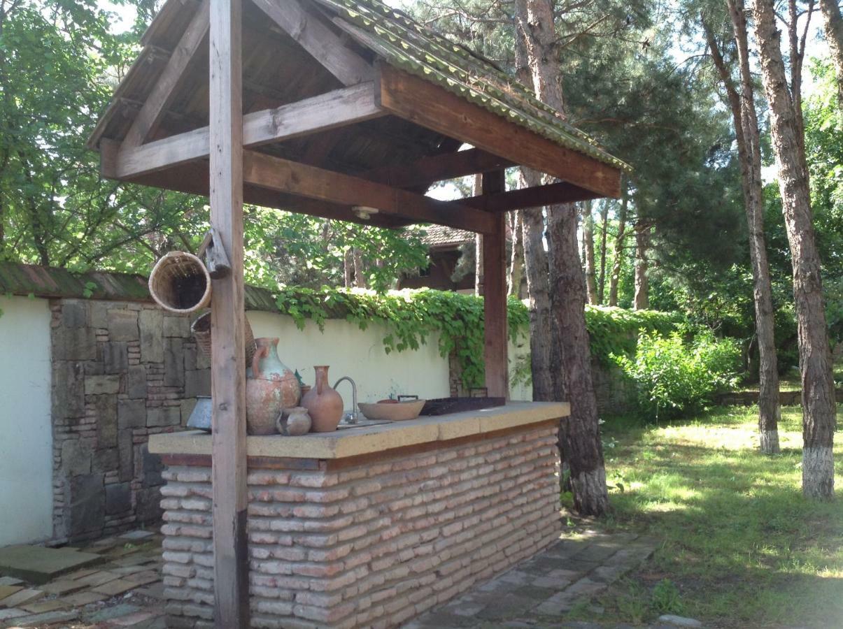 Rare House With Garden Villa Tbilisi Eksteriør billede